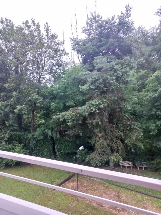 Lake Maggiore 2 Minutes Apartment Dormelletto Exterior photo